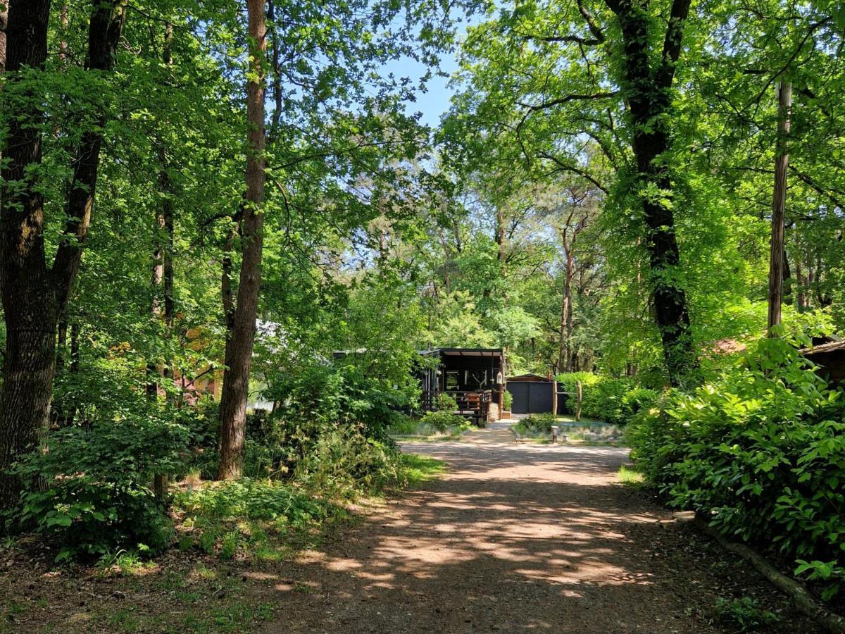 Heerlijk Huisje In Het Bos Op Chaletpark Kempenbos Diessen Bagian luar foto